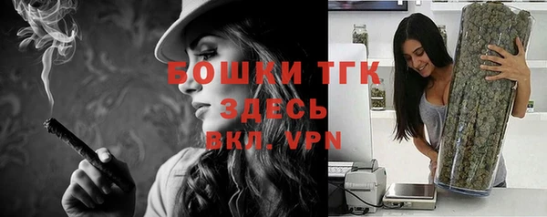 шишки Богородск