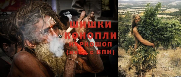 соль ск Богданович