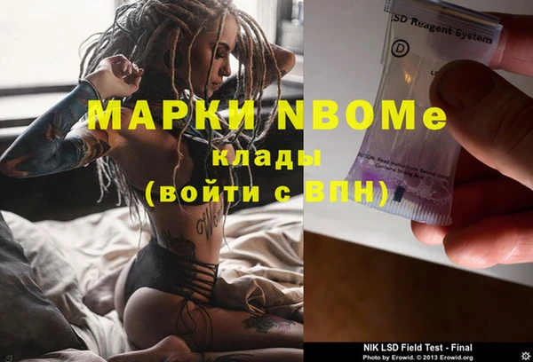 шишки Богородск