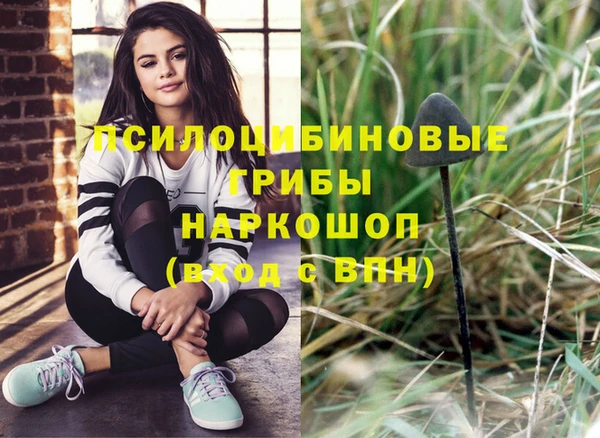 шишки Богородск