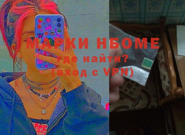шишки Богородск