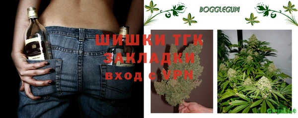 соль ск Богданович