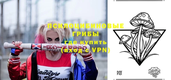 хмурый Богородицк